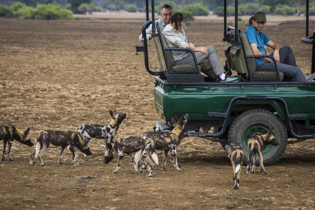 Zambia / Scott Dubois