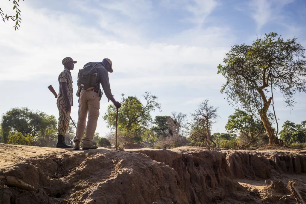 Zambia / Scott Dubois