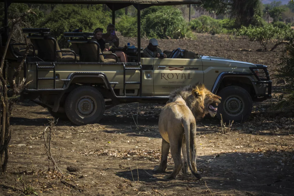 Zambia / Scott Dubois