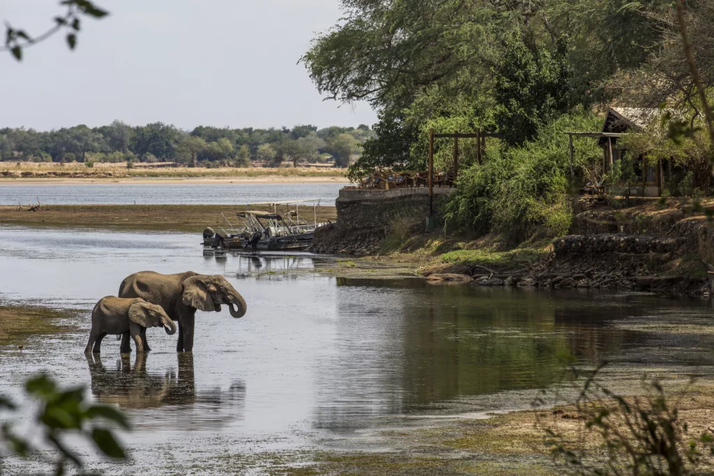 Zambia / Scott Dubois