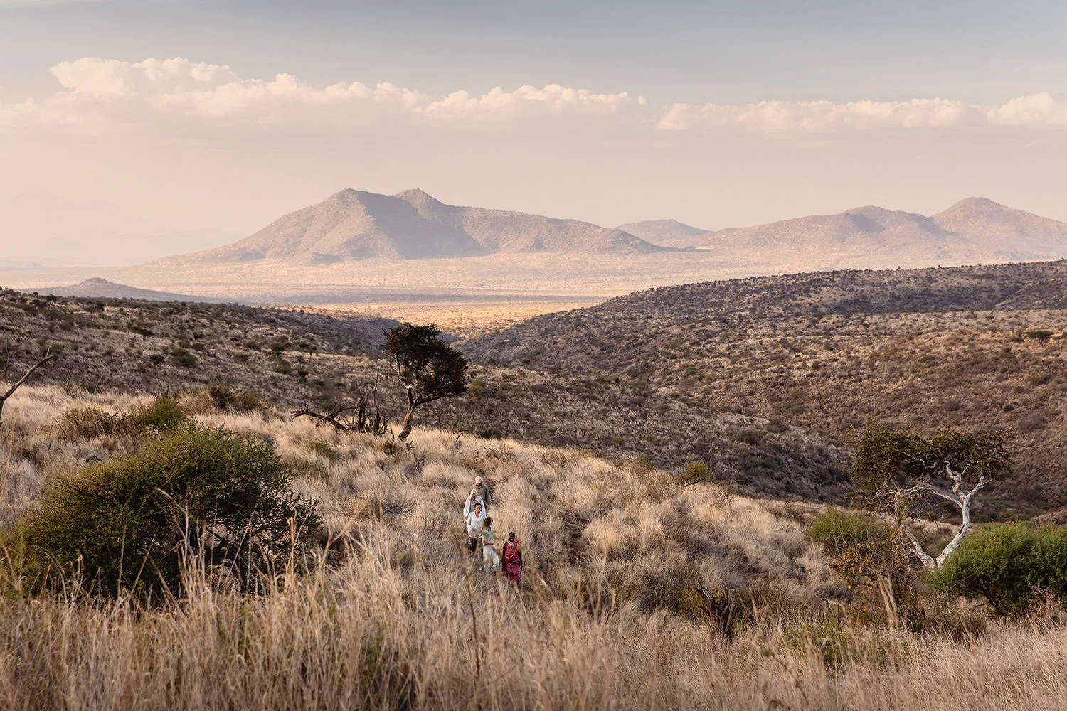 Walking Wild, Lewa Wilderness, Kenya / Tegan Cuniffe