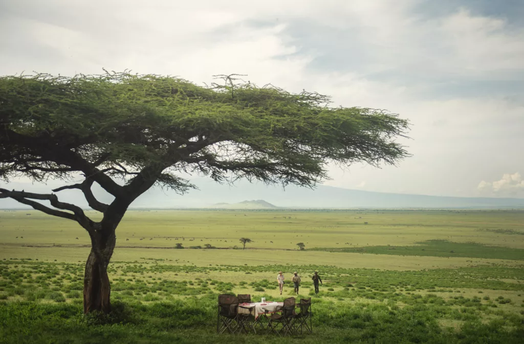 Walking the Serengeti / Courtesy of Nomad Tanzania